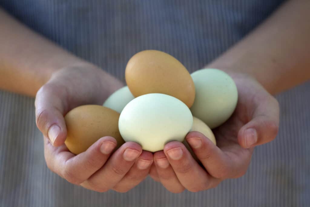 A handful of colorful eggs.