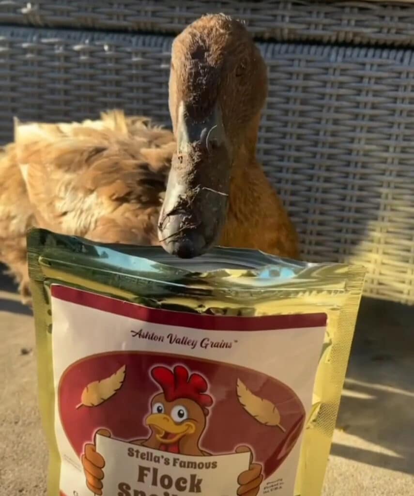 gifts for pet duck owners