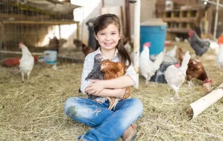 Cute Female Child Embracing Chickens At Farm