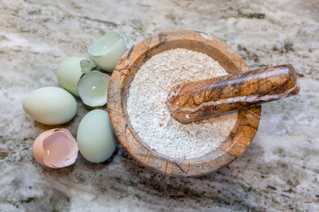 Crushed eggshells are a great (and free!) source of calcium for your flock.