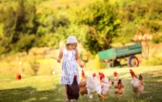 7 Ways To Keep Your Chickens Happy