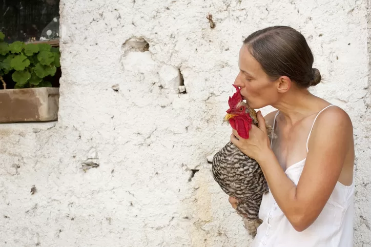 Ways To Cope With Losing A Chicken