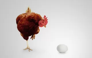 5 Things You Didn't Know About Chickens