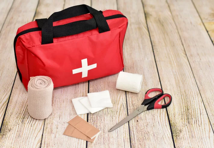 First Aid Essentials For Your Flock