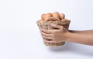 6 Tips To Safely Store Freshly Laid Eggs