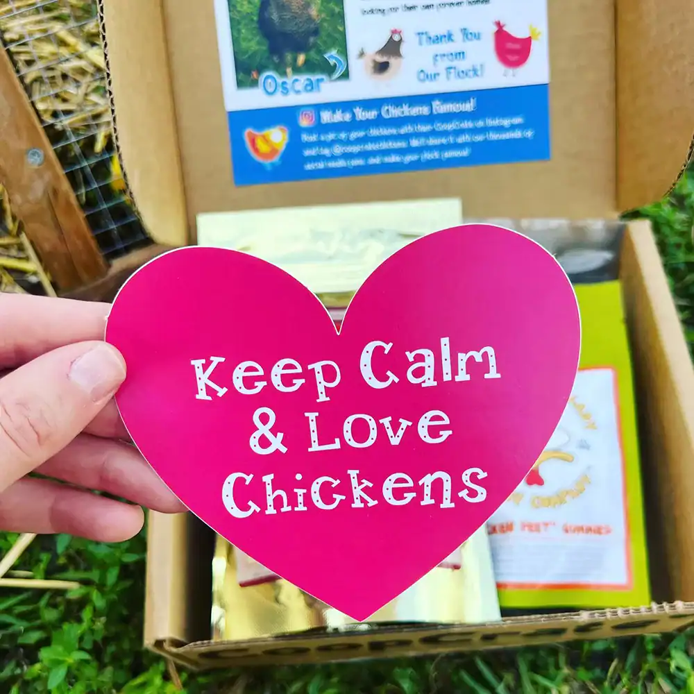 gift box for chicken owners