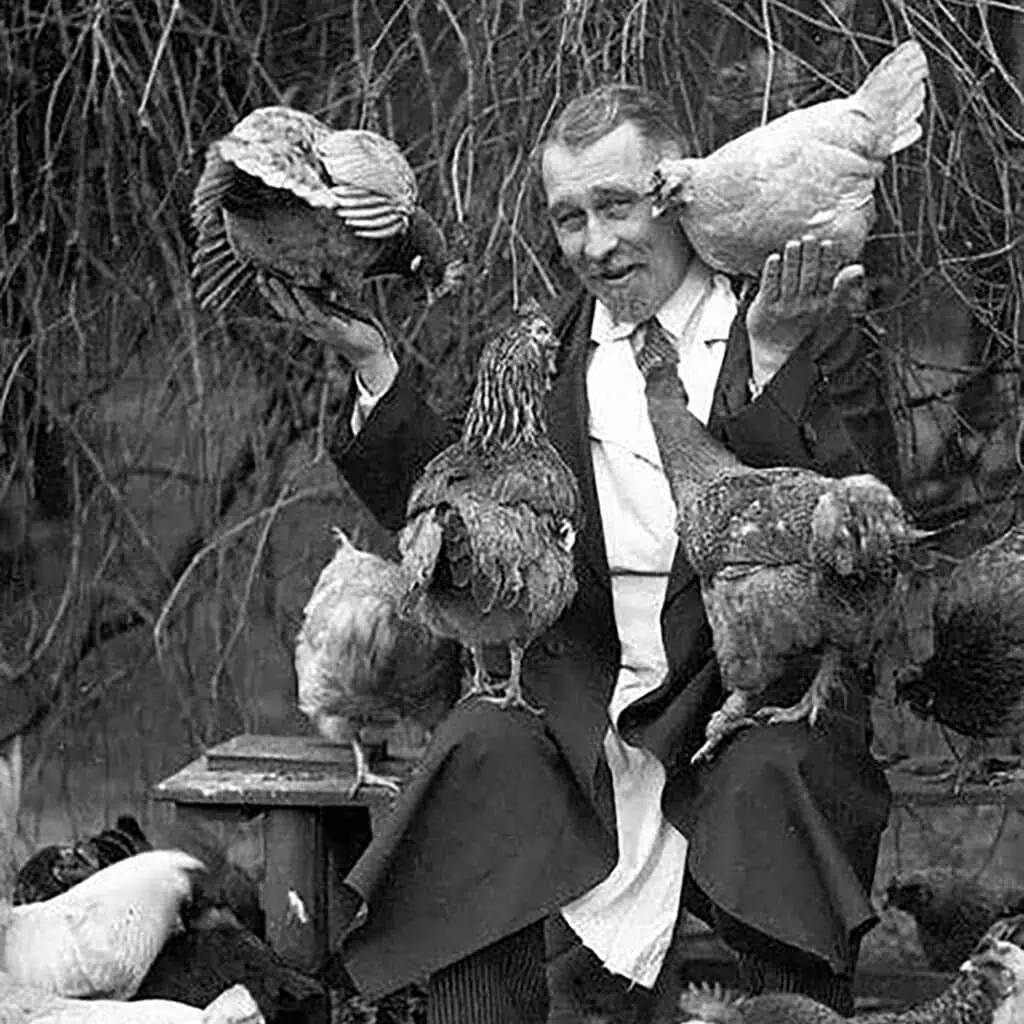 people with chickens in old photographs