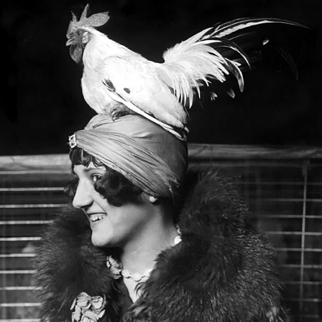 vintage pictures of chickens