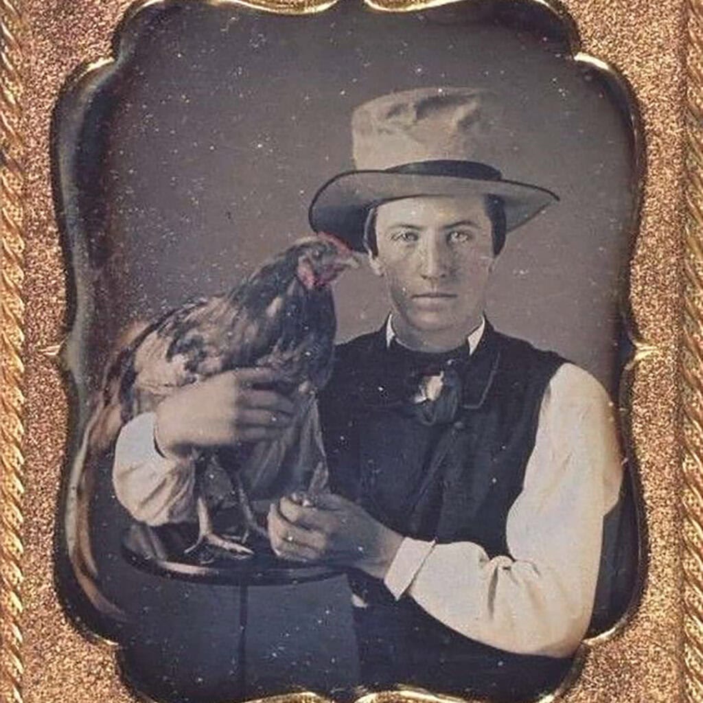 olden days chicken photos